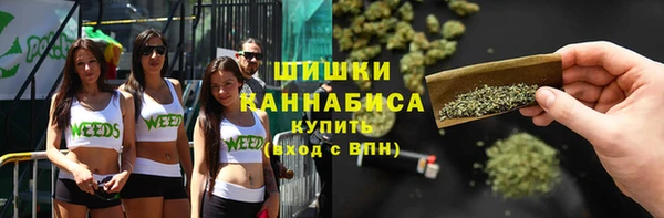 молекула духа Нефтекумск