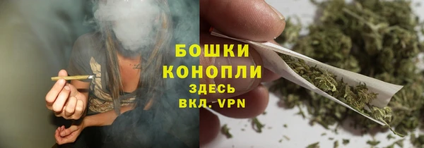 крисы Нея