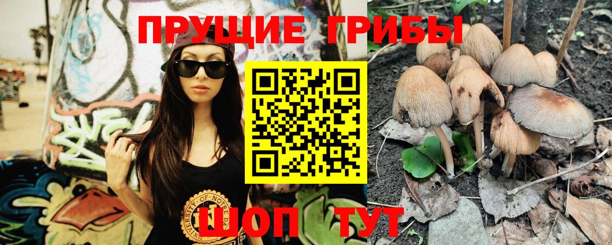 Галлюциногенные грибы Cubensis Ангарск