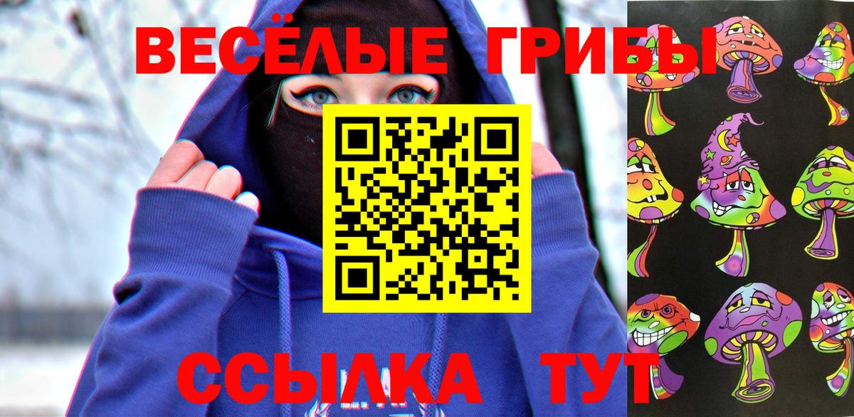 Ангарск  Галлюциногенные грибы мицелий  Вход с VPN  как найти   Псилоцибиновые грибы GOLDEN TEACHER 
