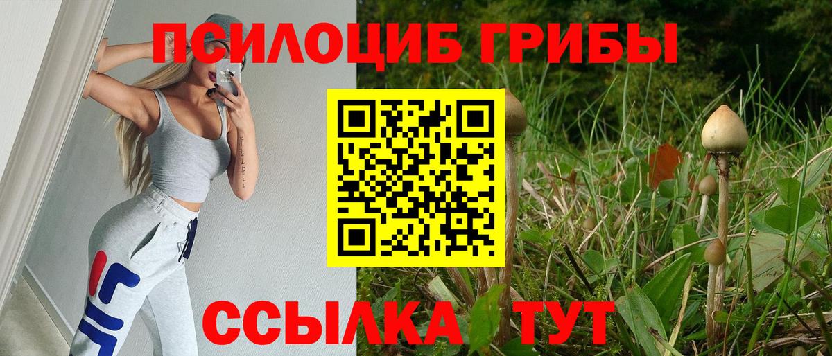 Галлюциногенные грибы мицелий Ангарск