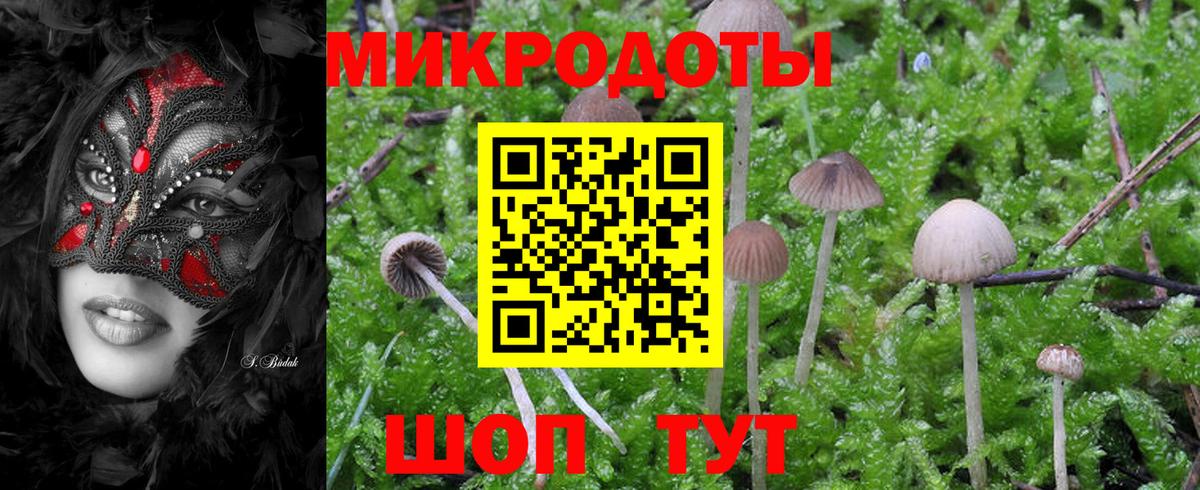 Псилоцибиновые грибы Psilocybe  Ангарск  Галлюциногенные грибы ЛСД 